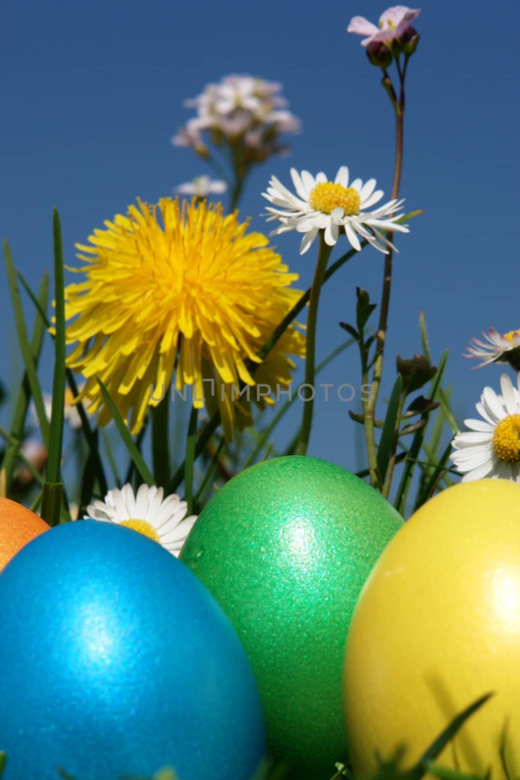 colorful Easter egg in the fresh  spring meadow