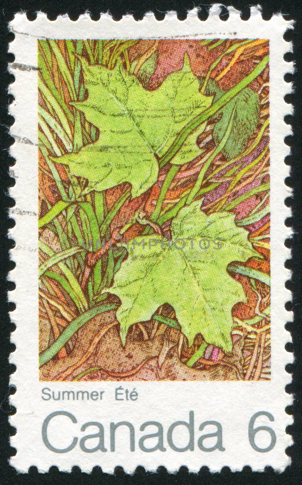 CANADA - CIRCA 1970: stamp printed by Canada, shows maple-leaf, circa 1970