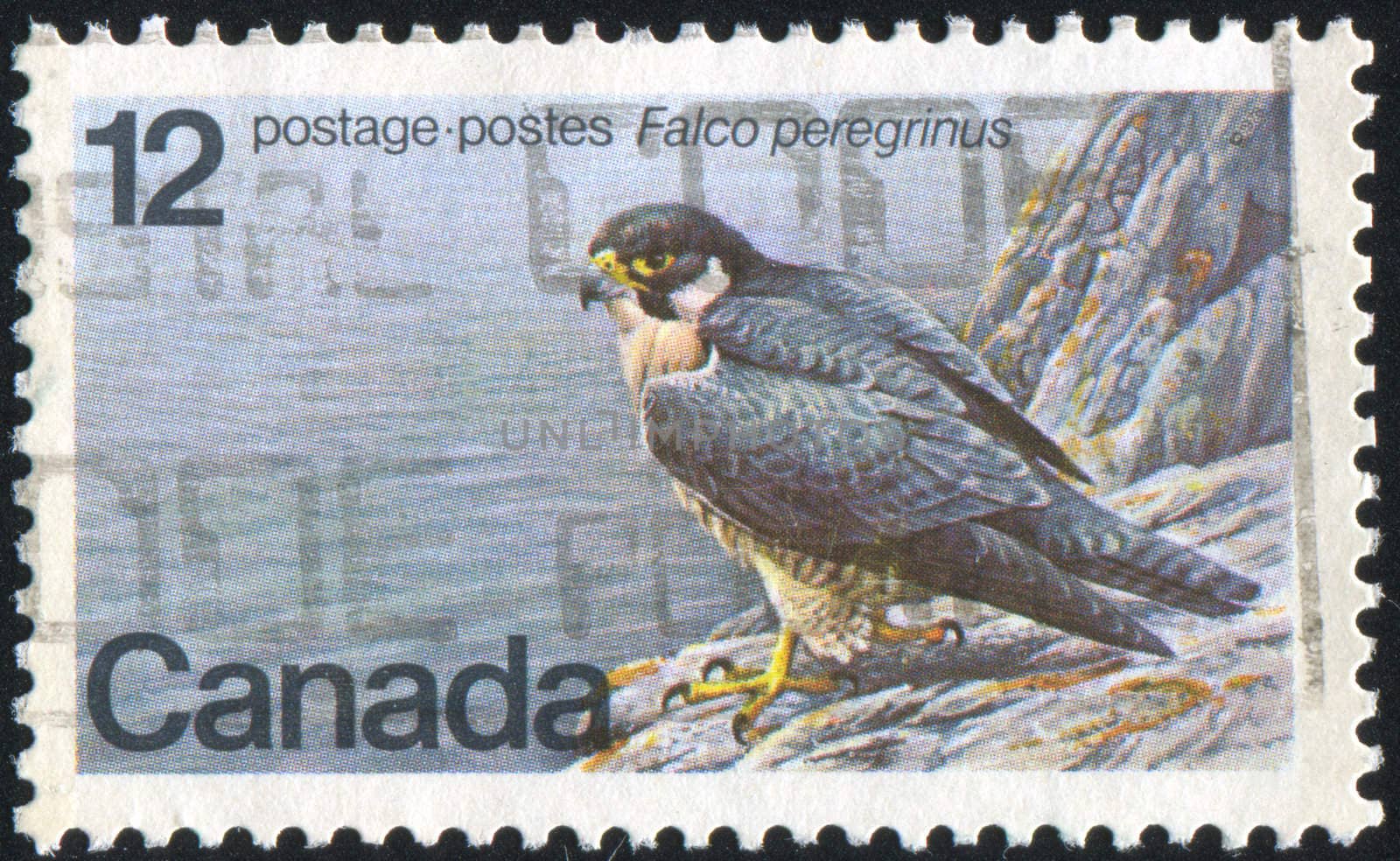 CANADA - CIRCA 1978: stamp printed by Canada, shows Peregrine Falcon, circa 1978