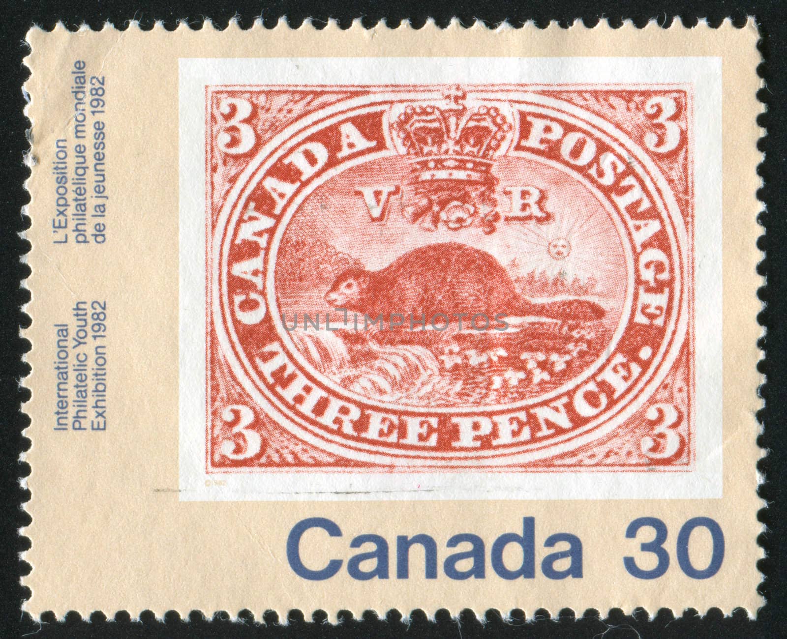 CANADA - CIRCA 1982: stamp printed by Canada, shows beaver, circa 1982