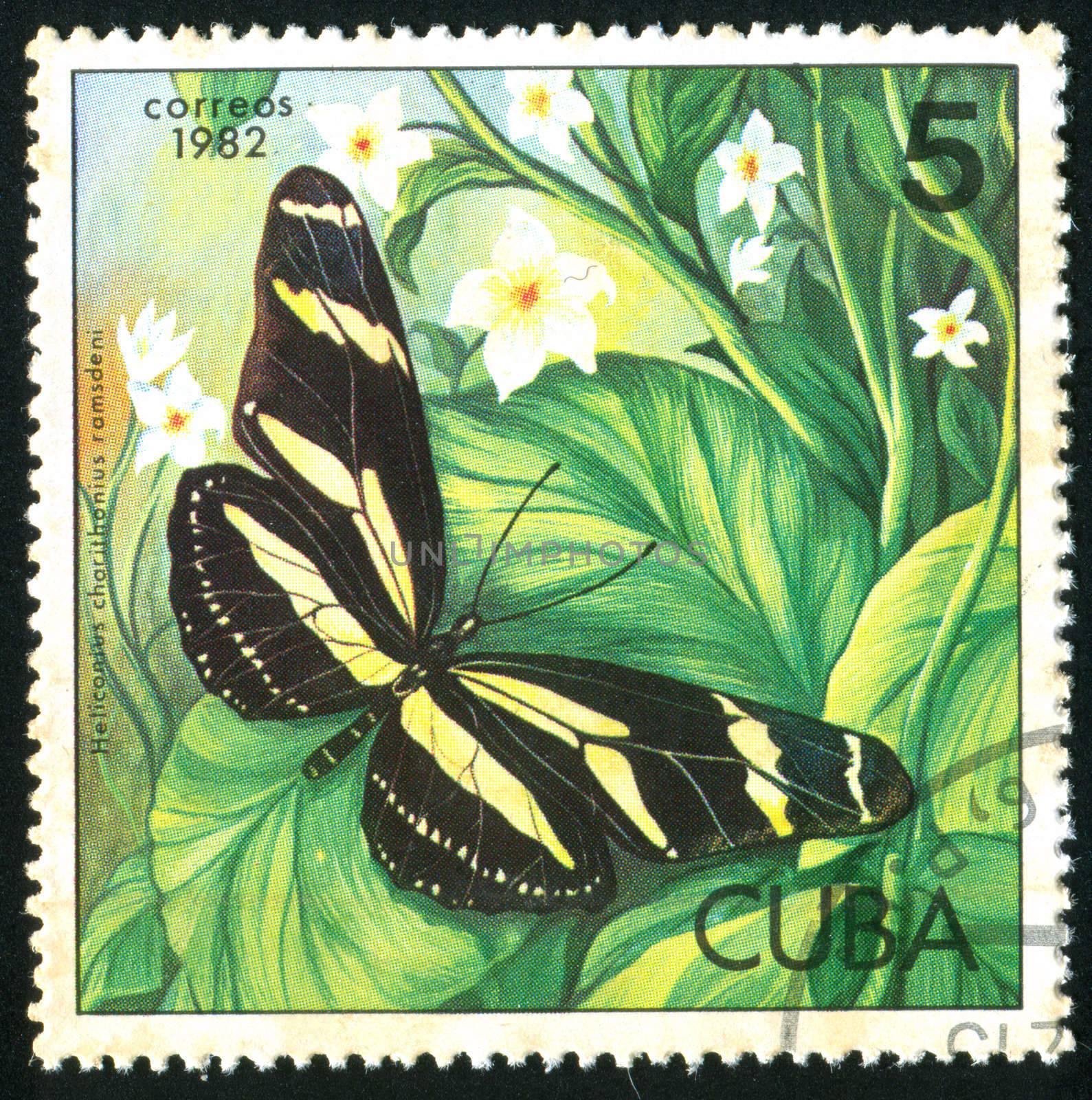 CUBA - CIRCA 1982: stamp printed by Cuba, shows butterfly, circa 1982