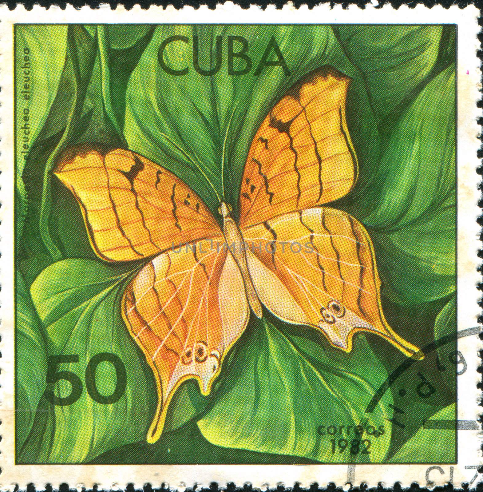 CUBA - CIRCA 1982: stamp printed by Cuba, shows butterfly, circa 1982