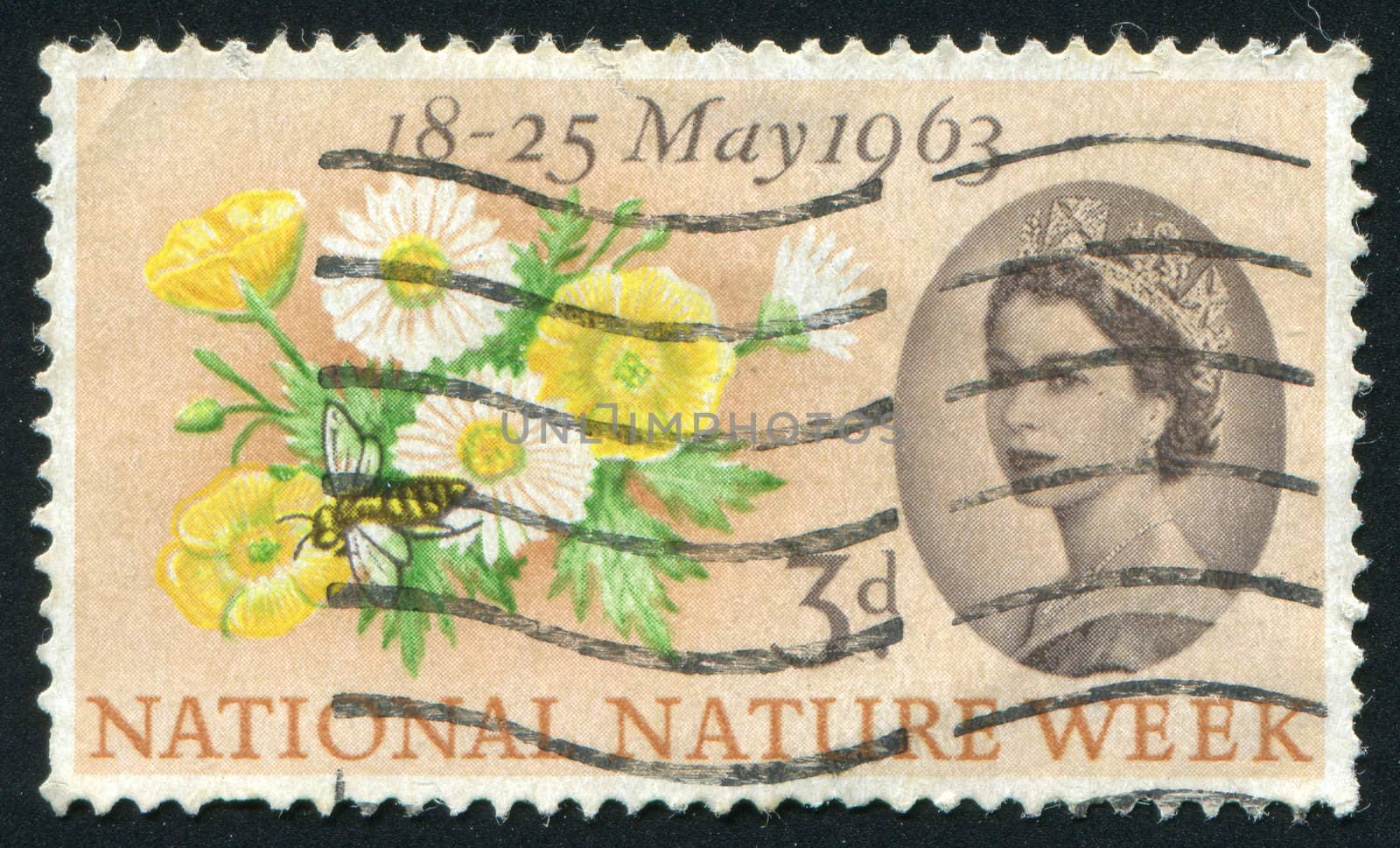 GREAT BRITAIN - CIRCA 1963: stamp printed by Great Britain, shows Buttercups Daisies and bee, circa 1963.