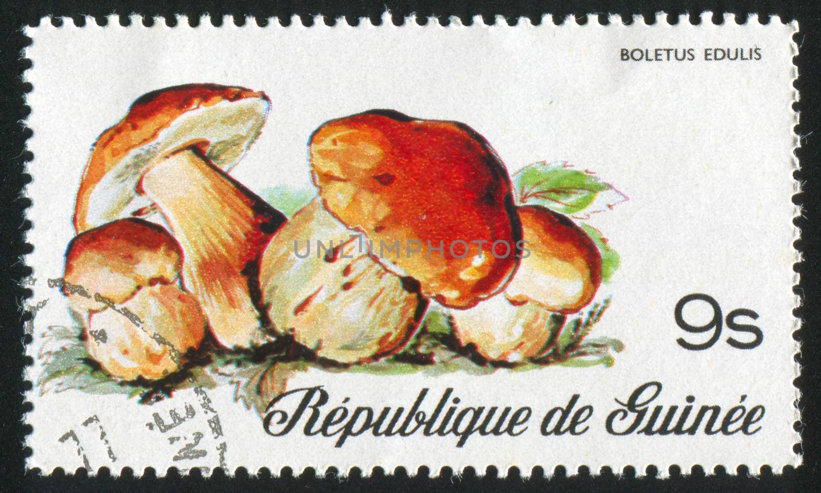 GUINEA - CIRCA 1977: stamp printed by Guinea, shows mushrooms, circa 1977