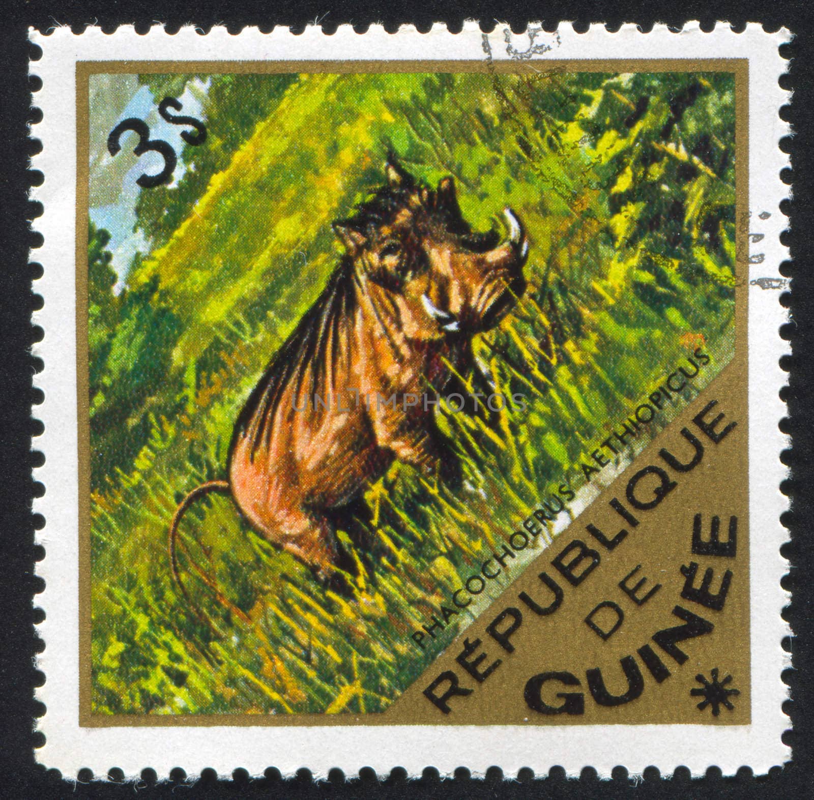 GUINEA - CIRCA 1975: stamp printed by Guinea, shows Wart hog, circa 1975