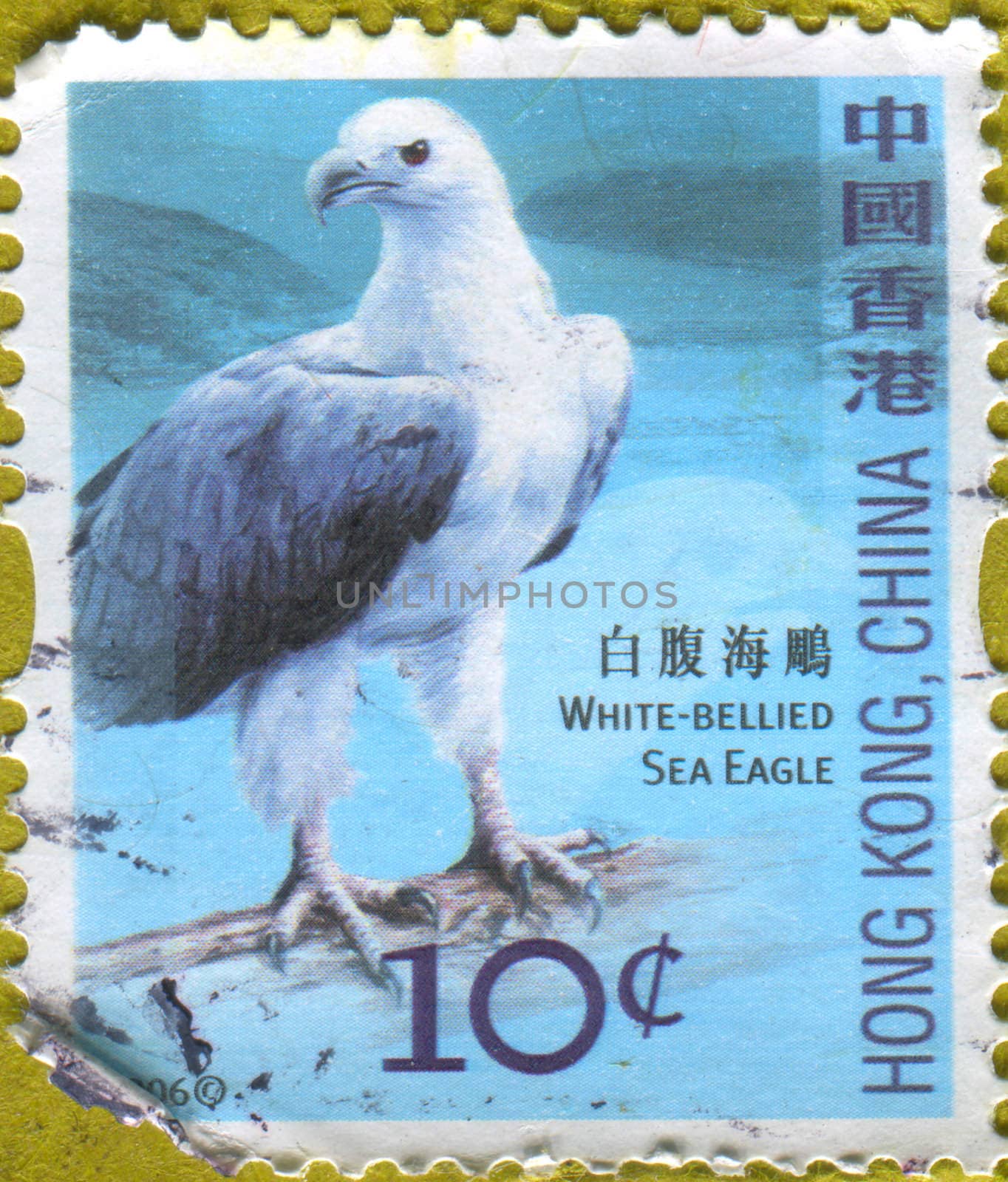 HONG KONG - CIRCA 2006: stamp printed by Hong Kong, shows White-bellied sea eagle, circa 2006