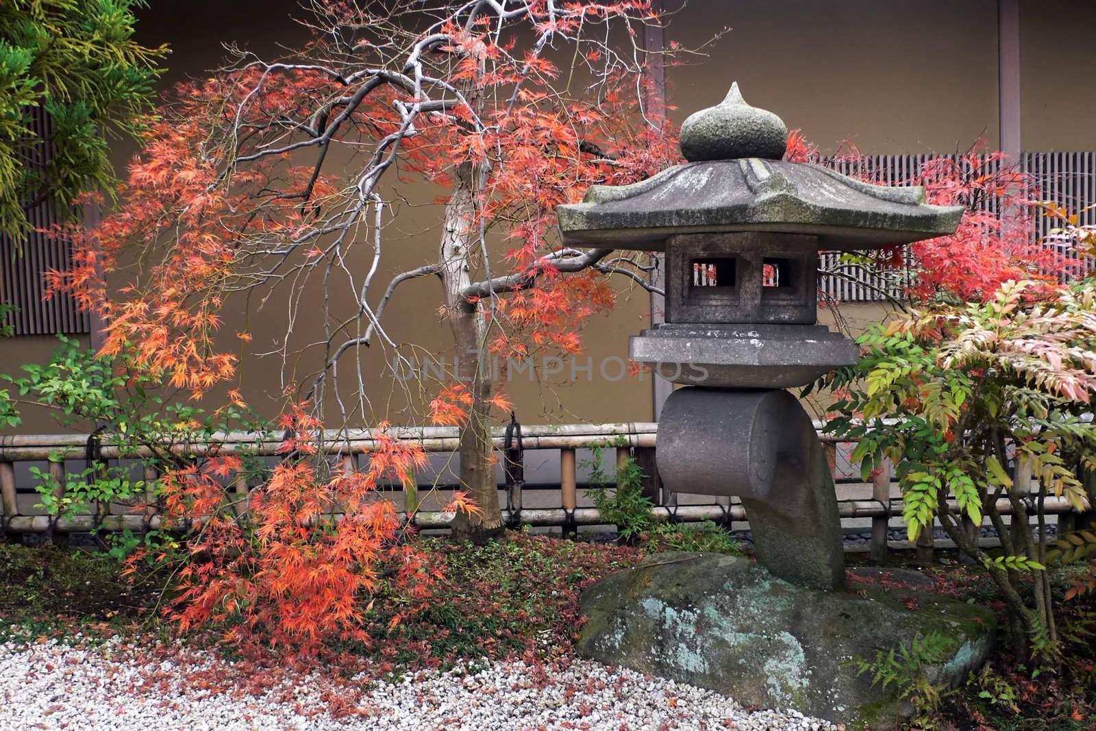 japanese lantern and autumnal maple tree by yuriz