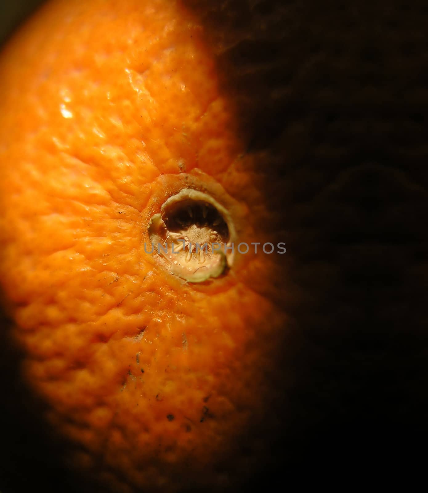 Low-key close-up of an orange corrugated rind coming out of darkness