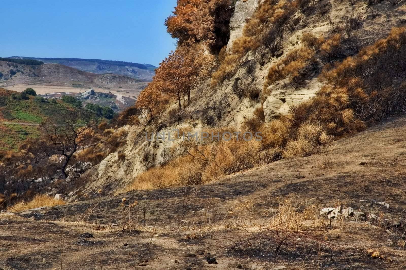 Burned out mountain side