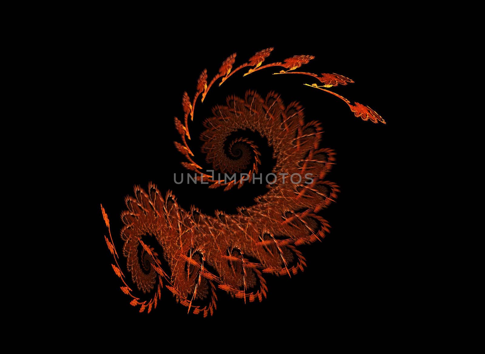 abstract spiral flame on the black background