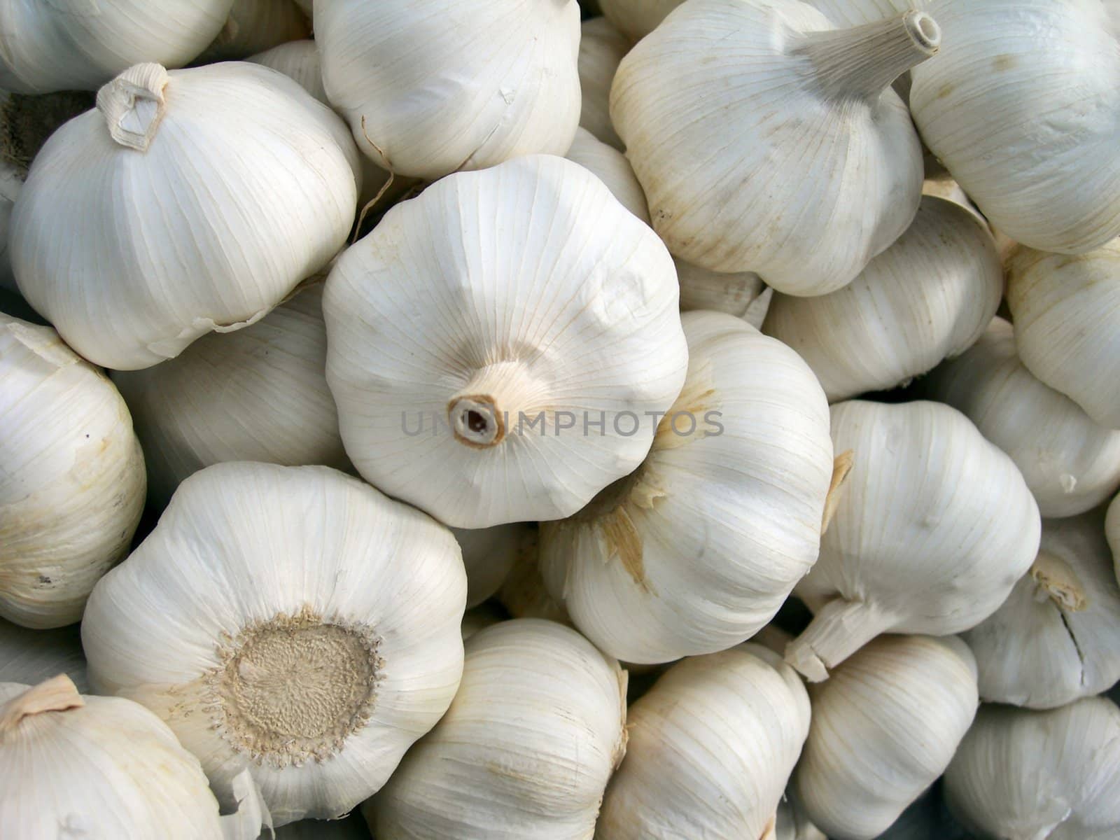 garlic by RAIMA