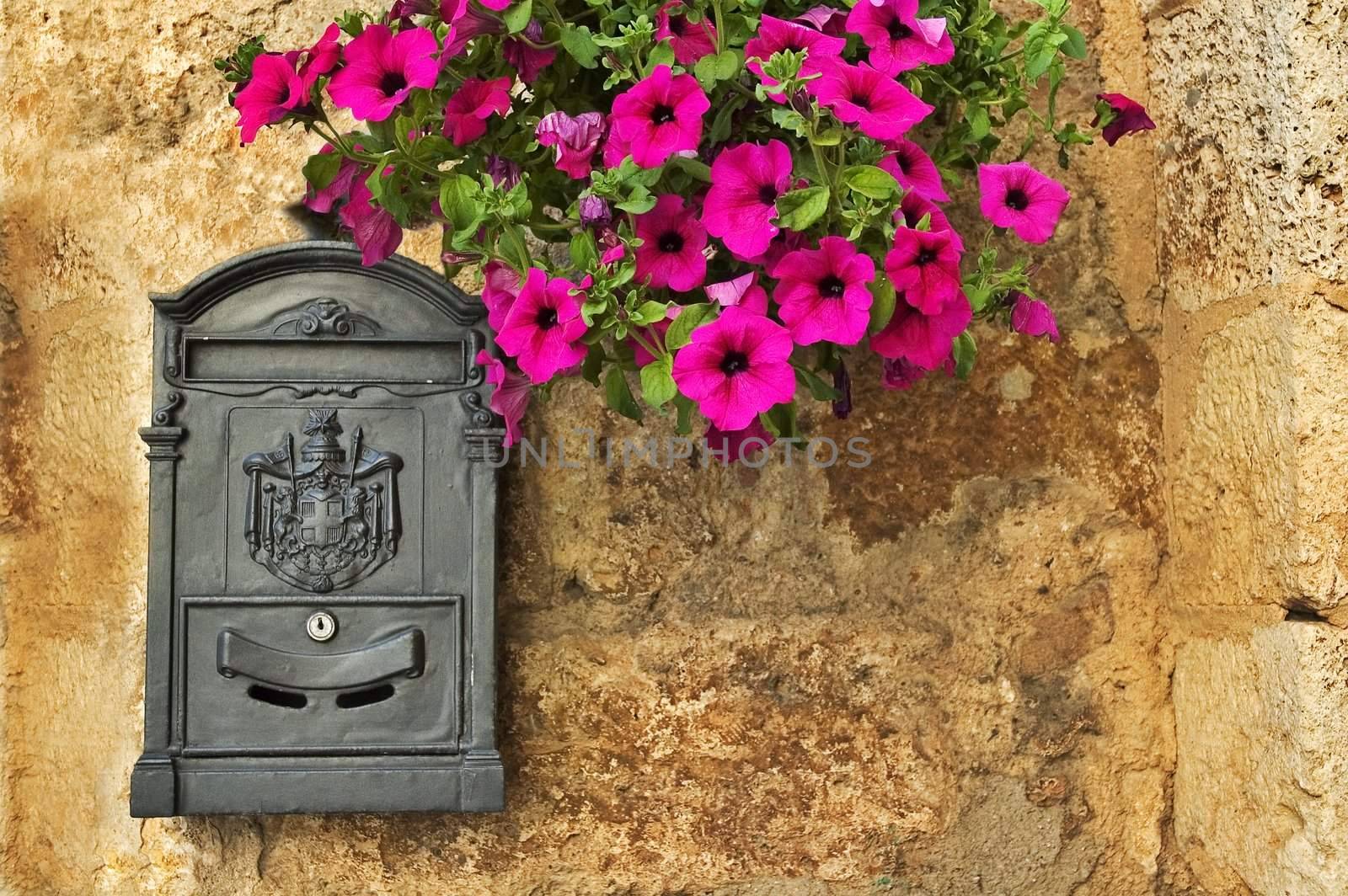 Old-looking mailbox with penunias on rough wall
