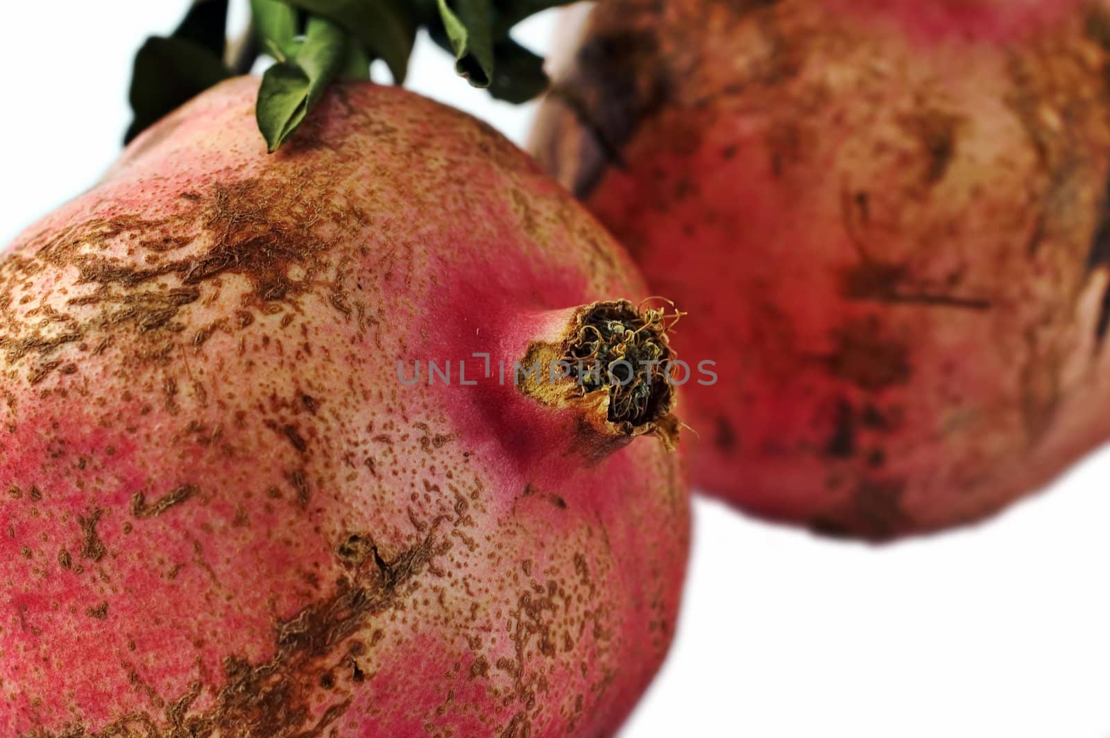 Two pomegranates isolated on white with shallow depth of field