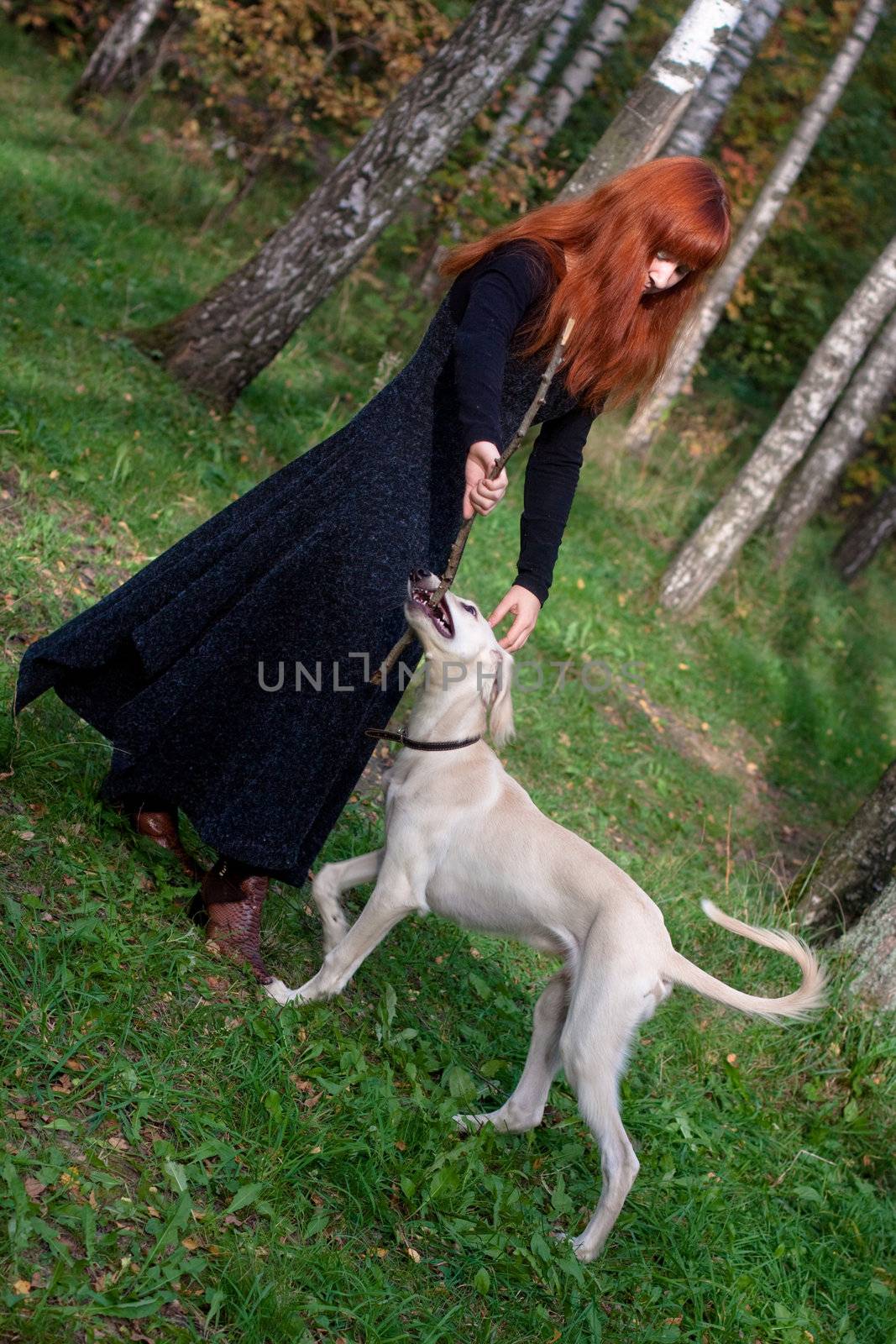 A girl in a black dress and white saliki pup in a forest 
