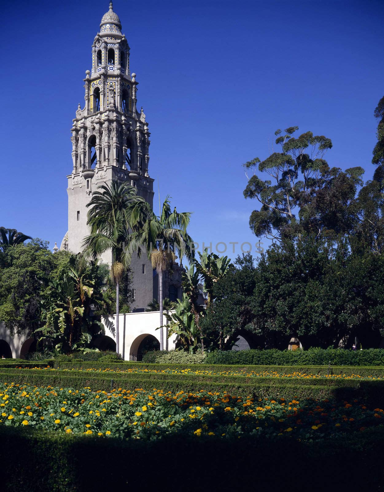 California Tower in Balboa Park, San Diego