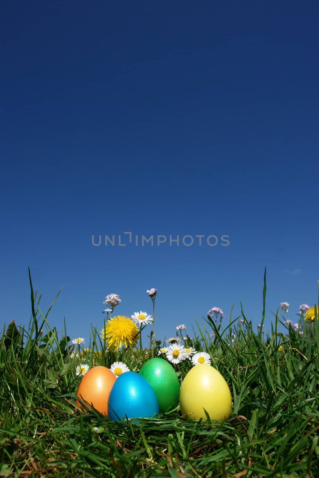 colorful Easter egg in the fresh  spring meadow