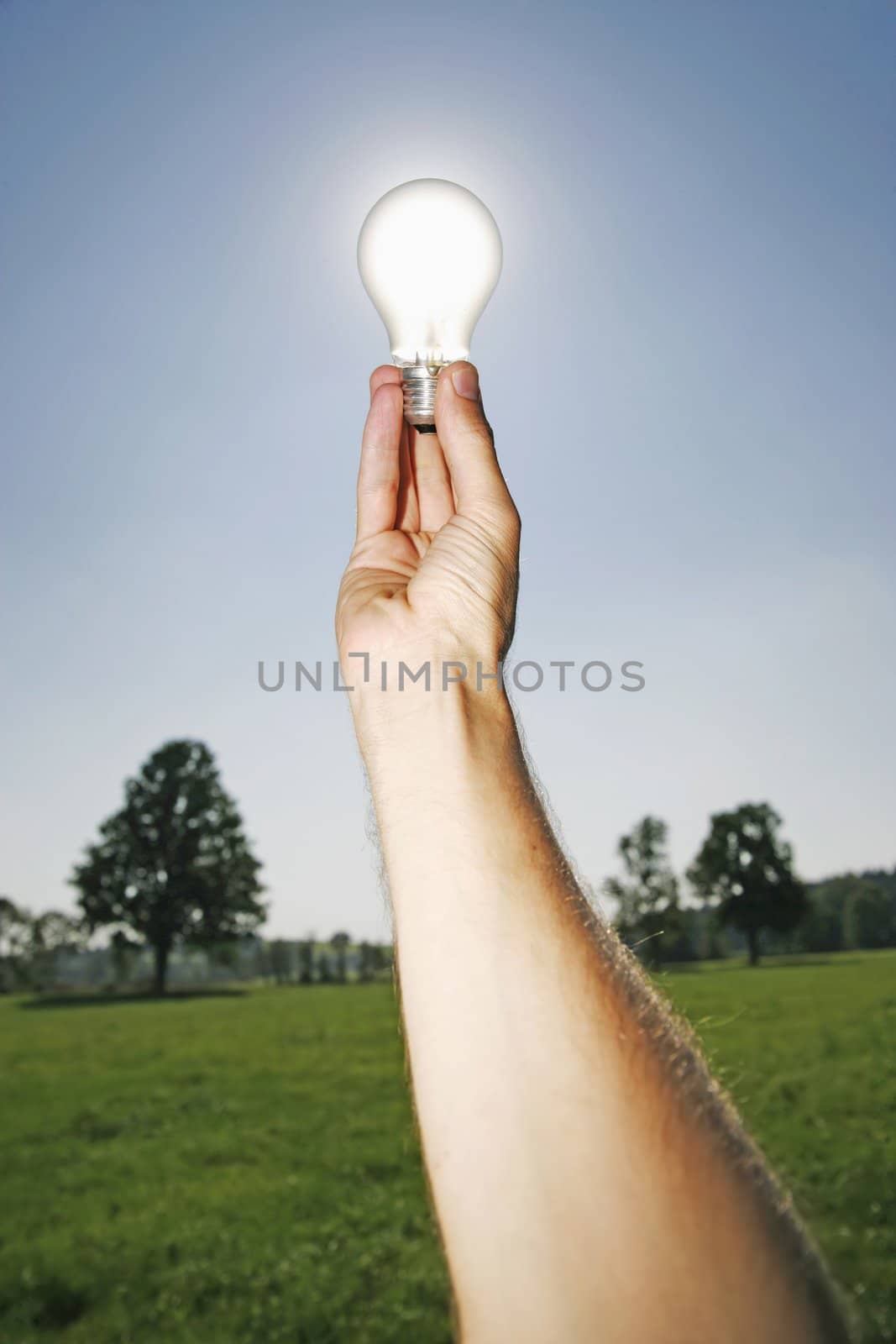 electric bulb against the sun as a symbol for solar energy