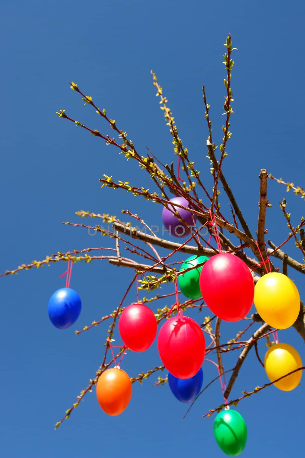 a close up of some colourfull eastereggs