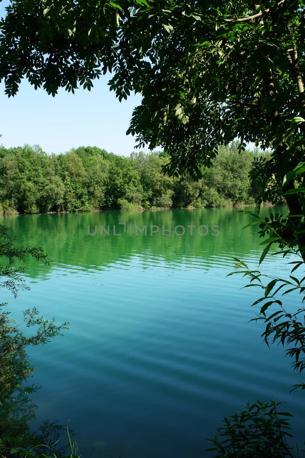 Picture of a lake in summer outside