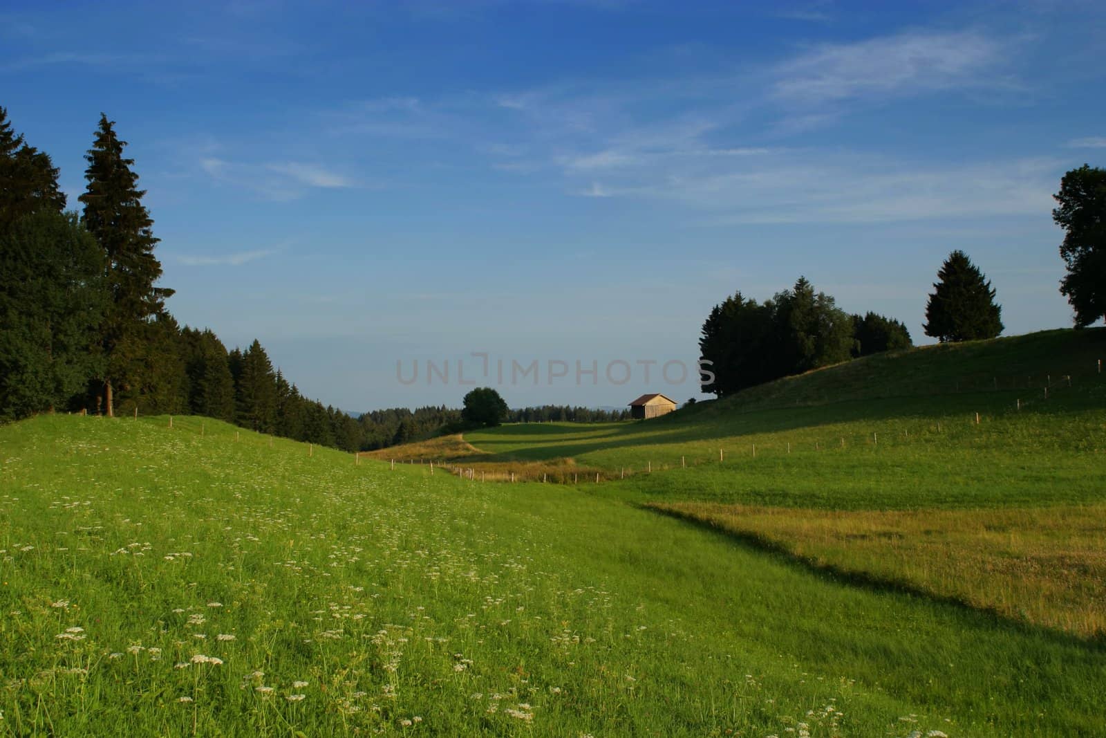 a nice landscape in summertime with blue sky