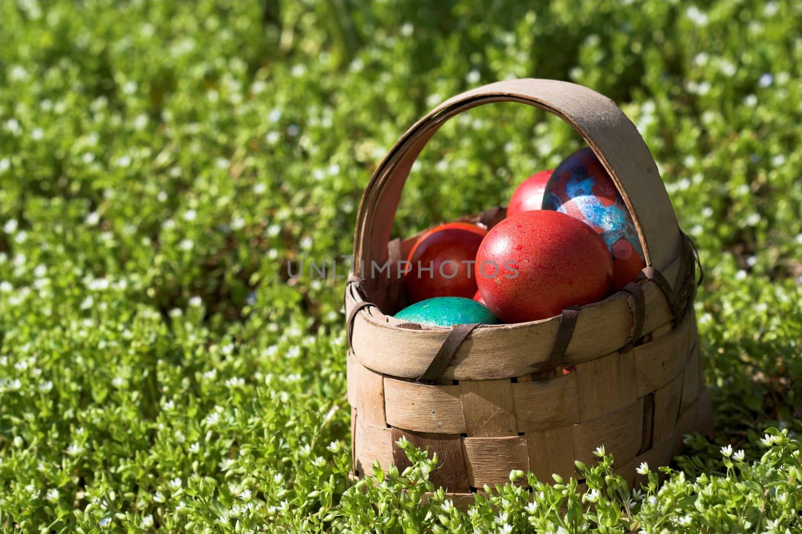 Colorful  easter eggs in brown basket on the grass