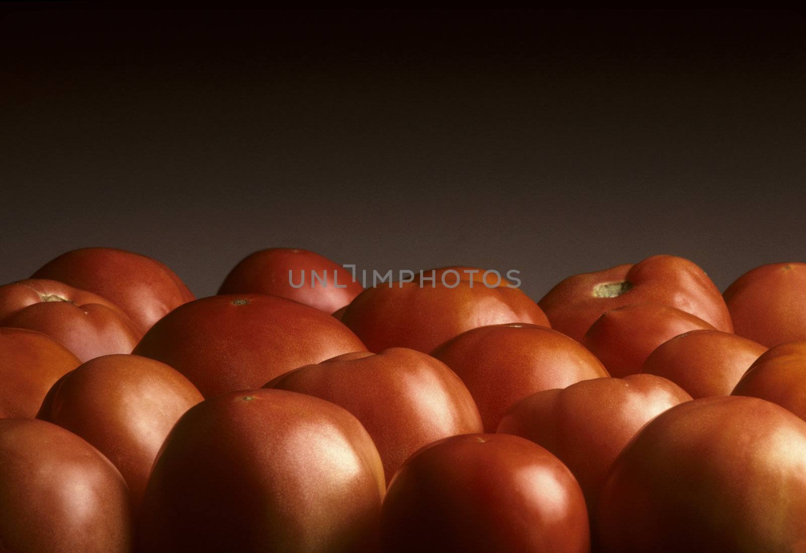 Layer of red tomatoes against a gray background