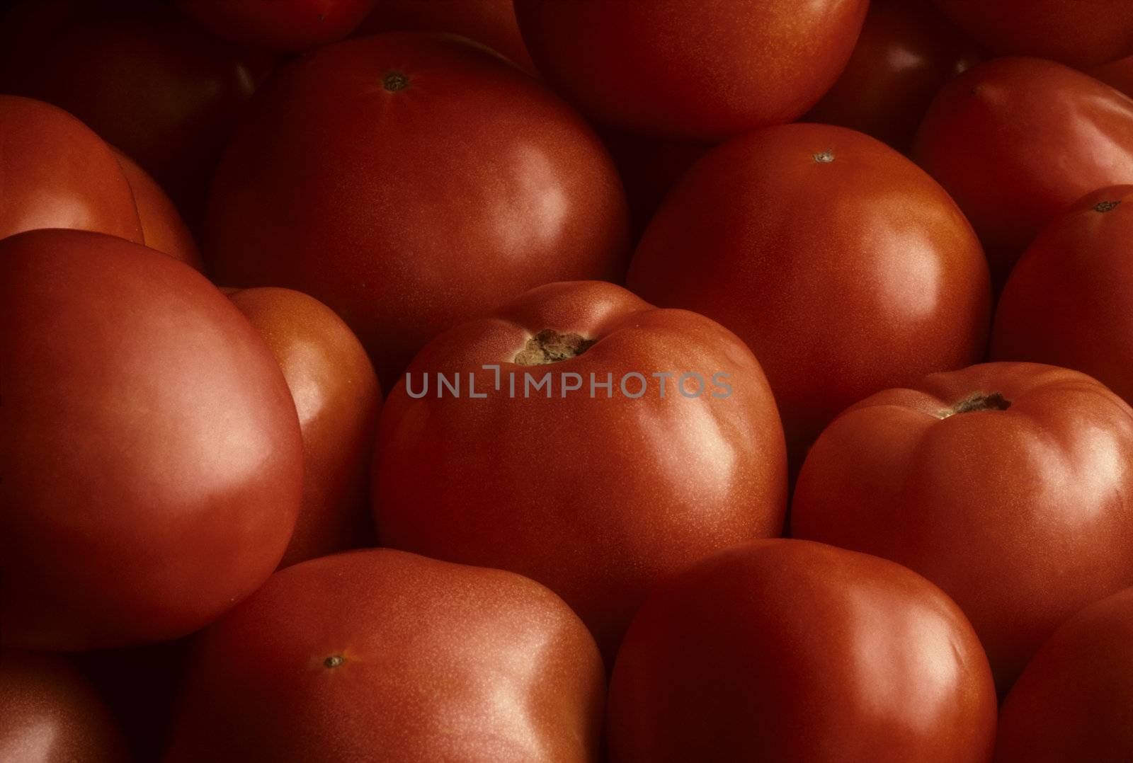 Pile of ripe red tomatoes filling the frame Horizontal