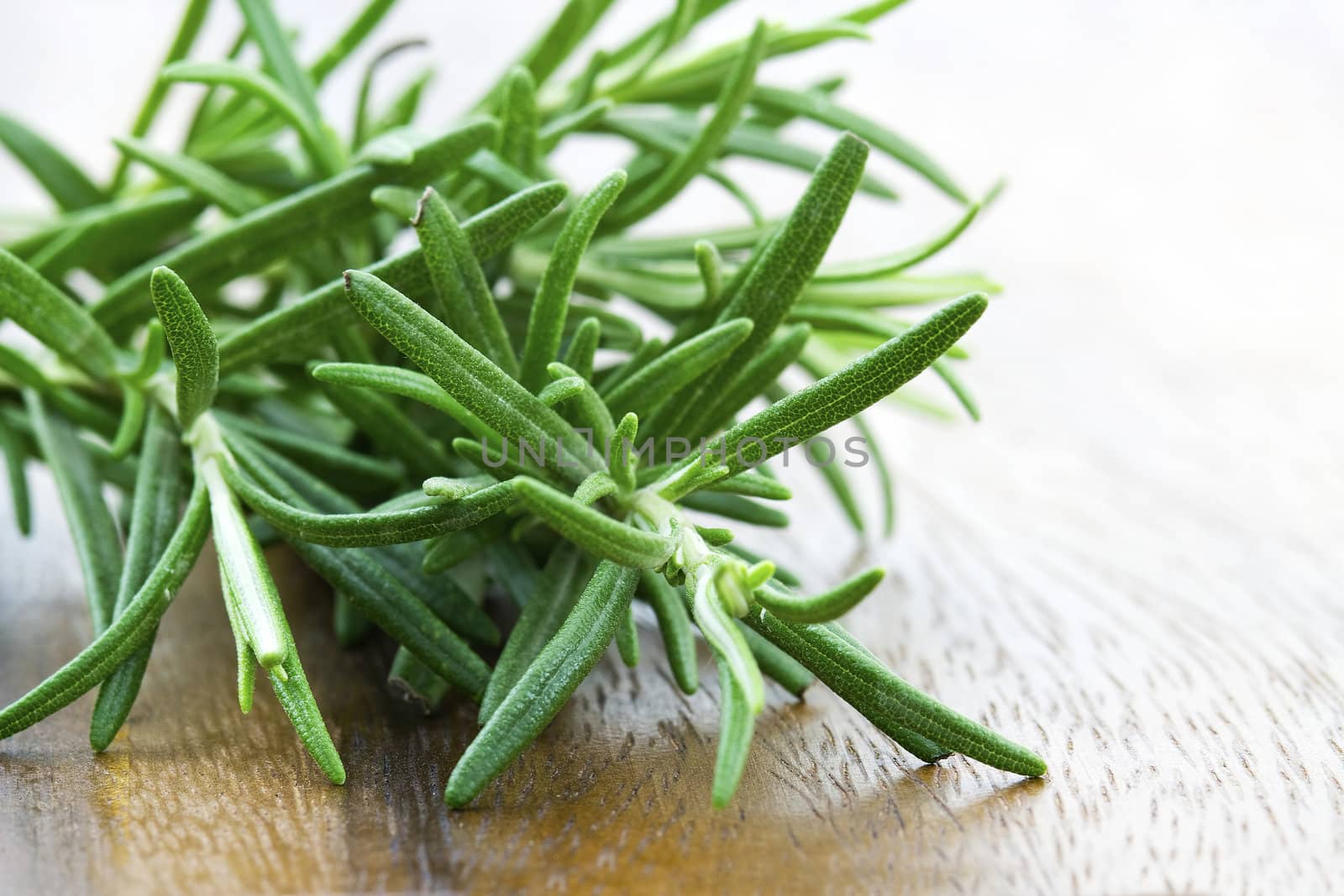fresh rosemary