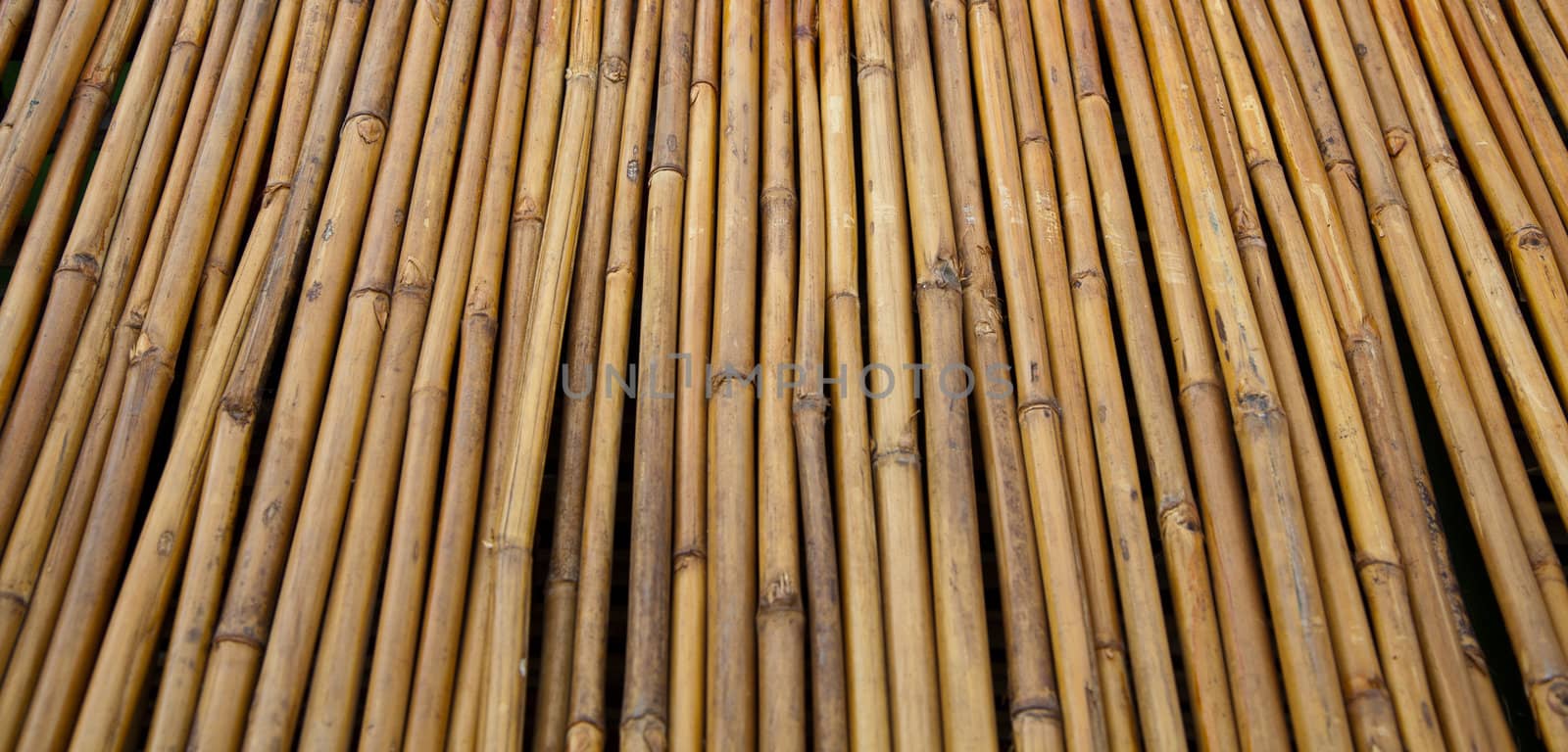 Yellow little bamboo trunks were in line by nails and arranged in fencing form.