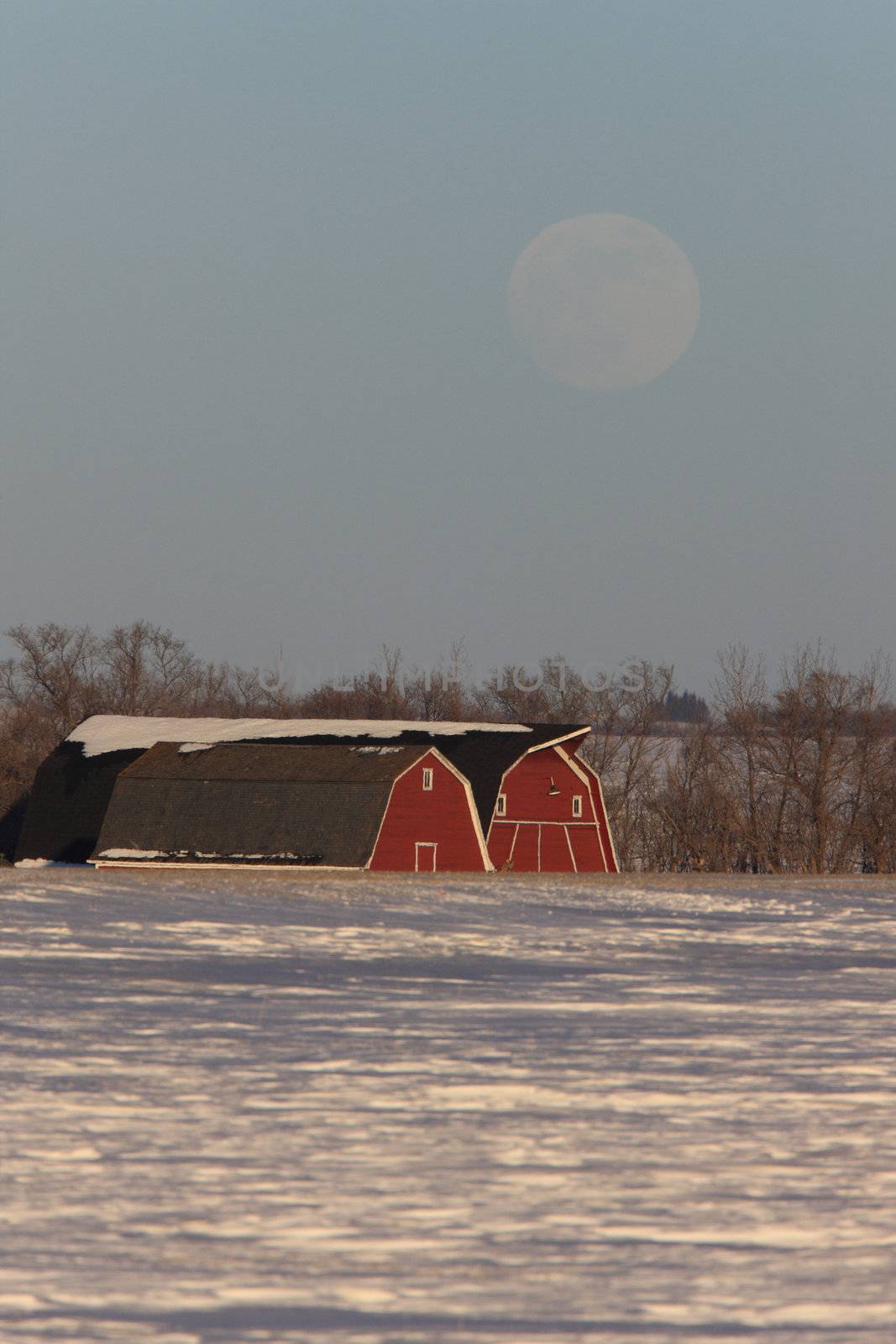 Barn and Full Moon Canada by pictureguy