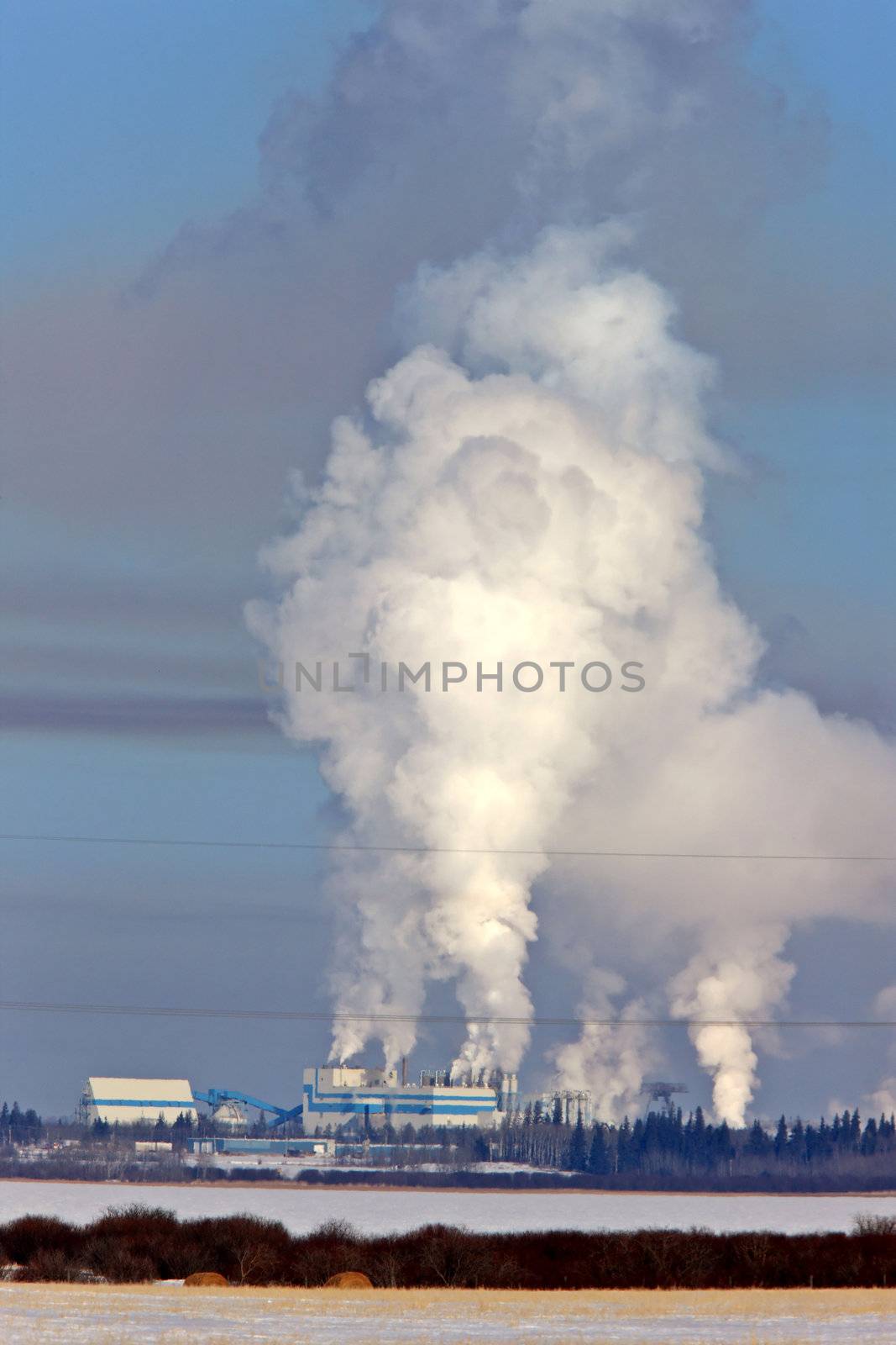Power Lines and Pulp Mill Pollution