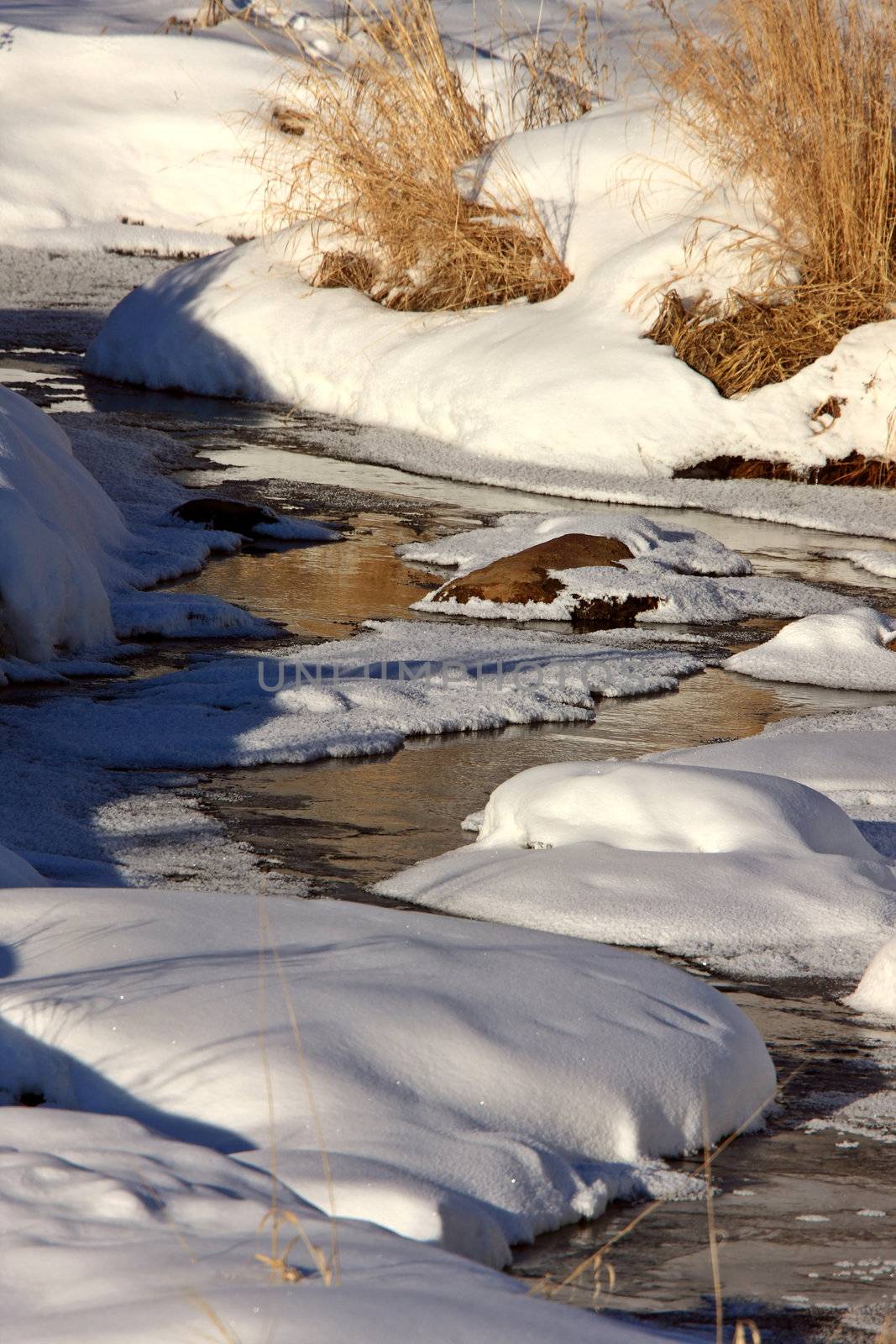 Icy Stream in Winter by pictureguy