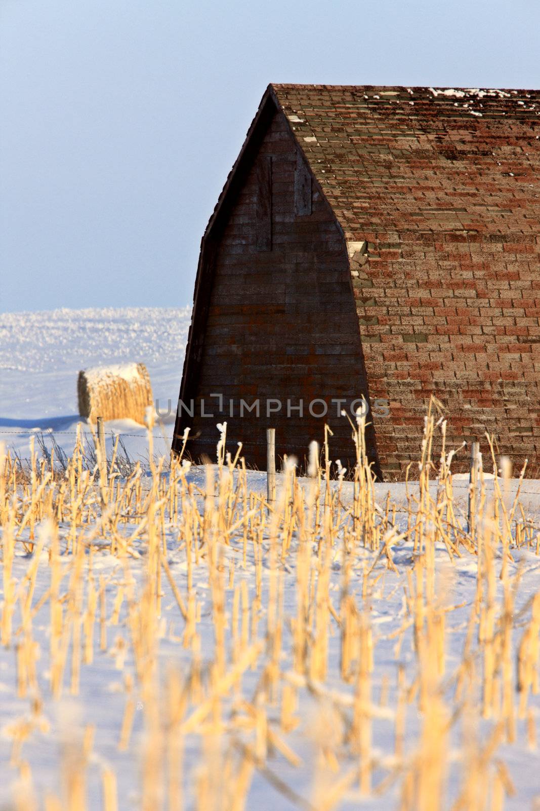 Old Barn in Winter Saskatchewan by pictureguy
