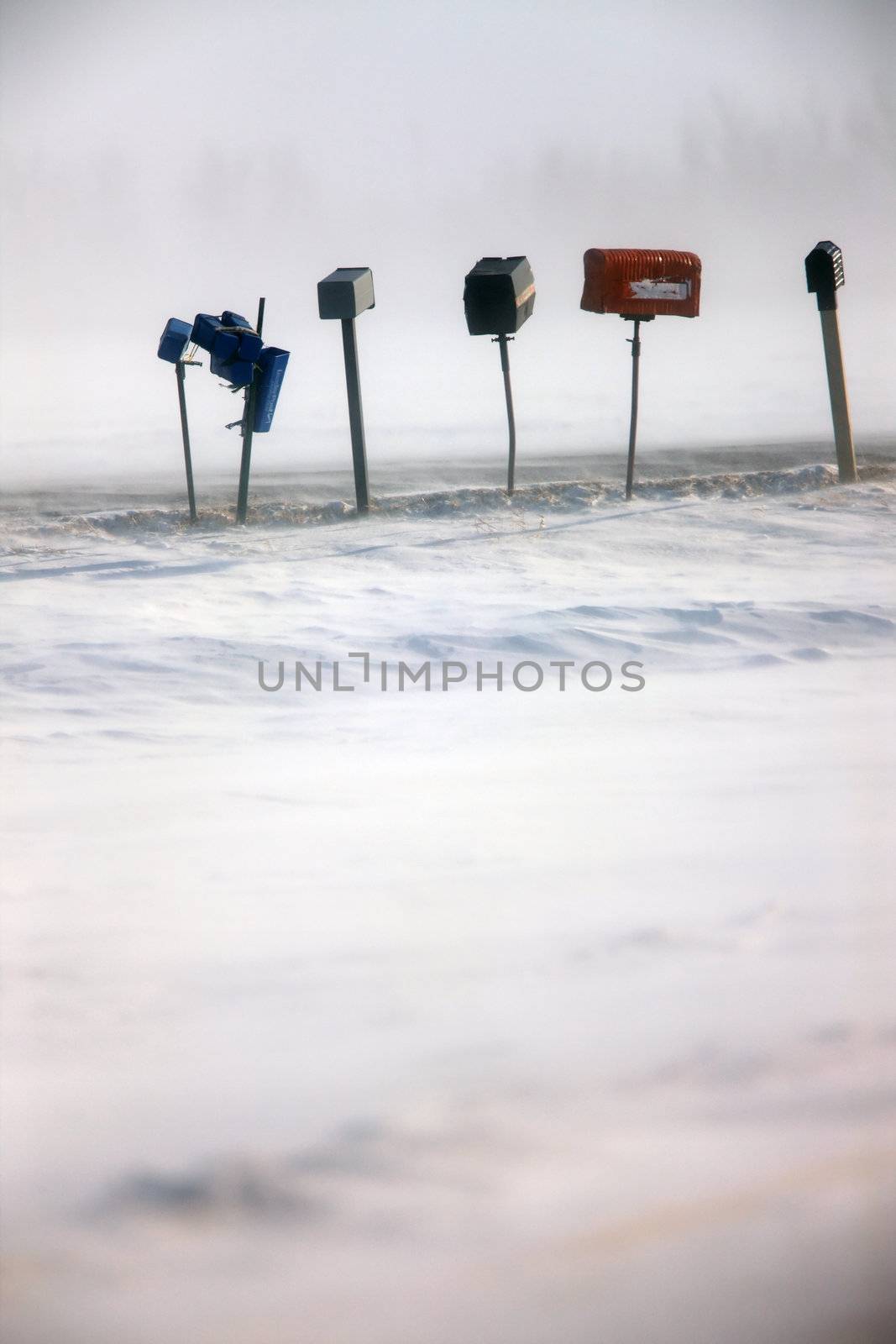 Postal Boxes in Winter Saskatchewan by pictureguy