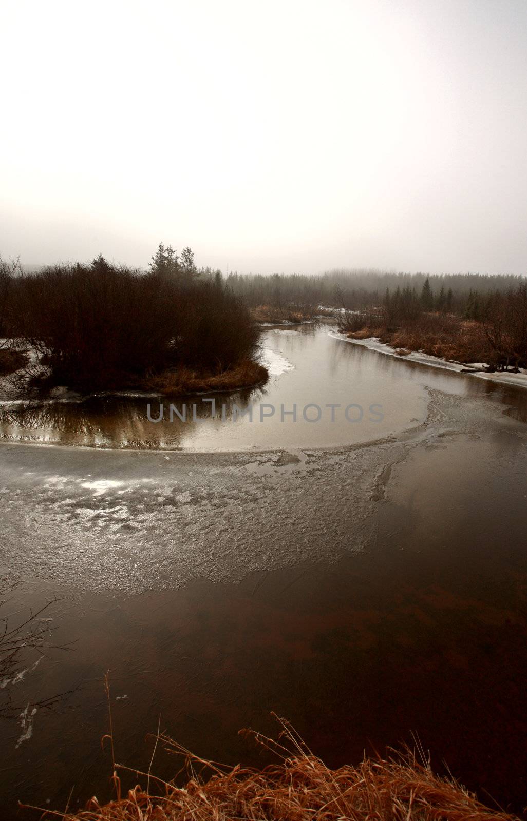 Misty Morning Lake  in Spring Saskatchewan by pictureguy
