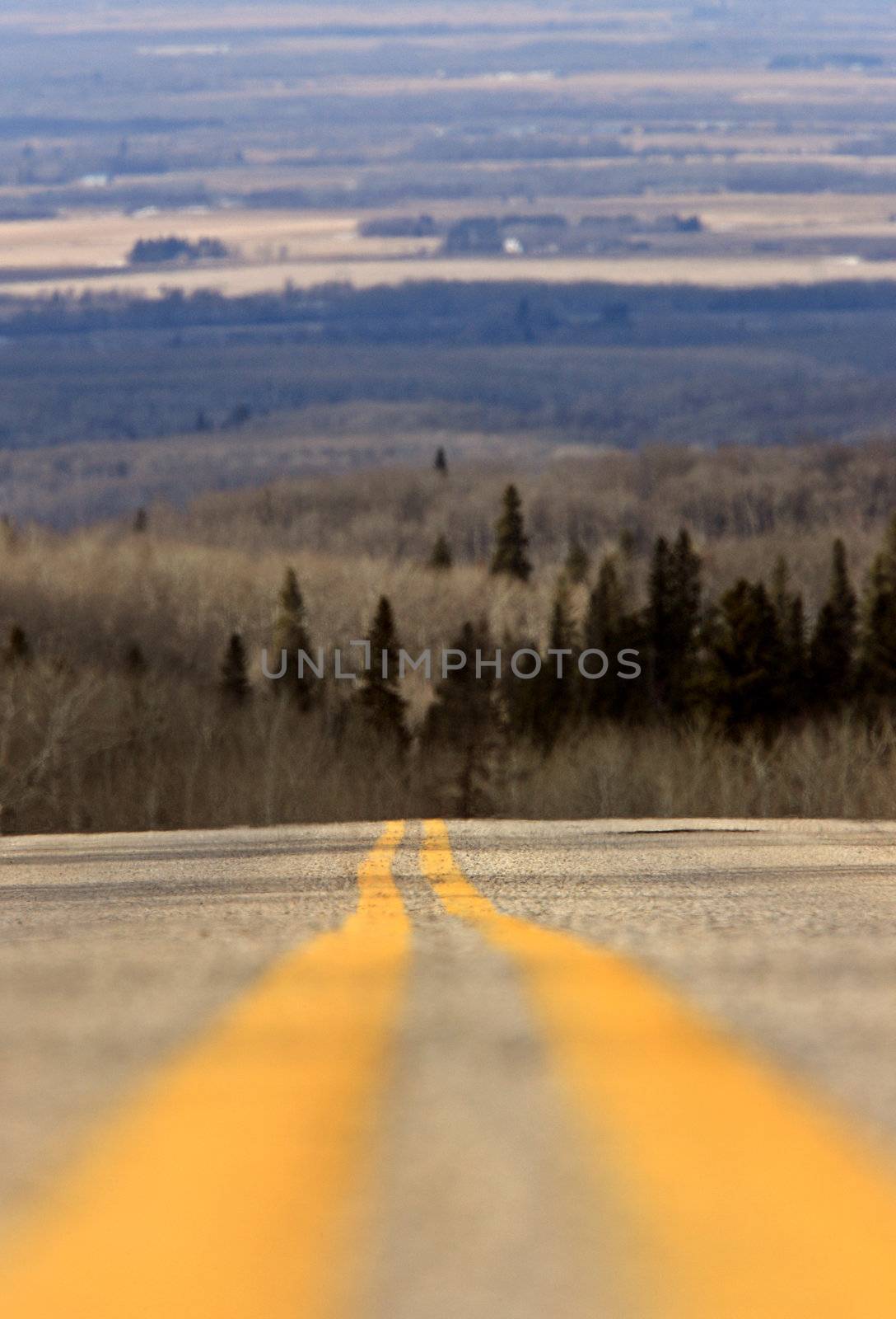 Yellow Linnes Highway Riding Mountain Park Manitoba by pictureguy