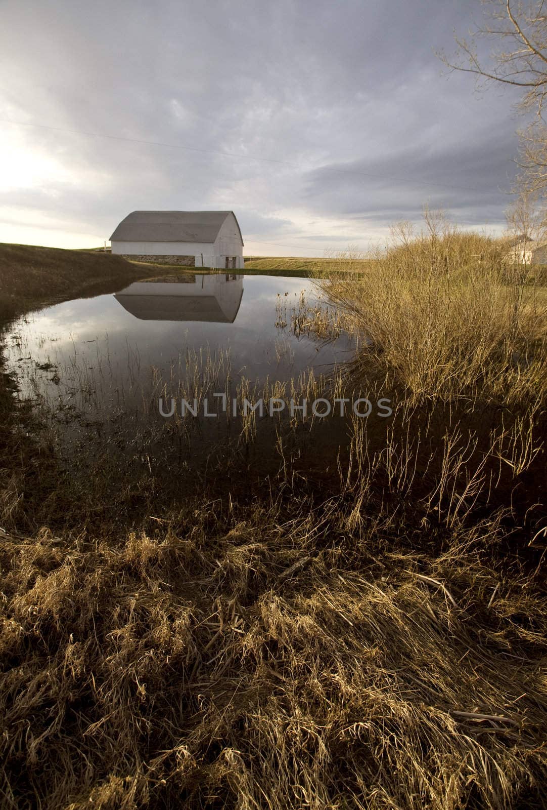 Old Barn and Dugout marsh Canada by pictureguy