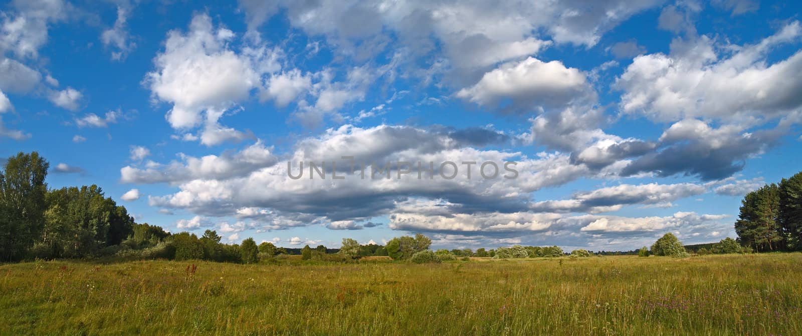 Summer meadow with bright blue sky by kvinoz