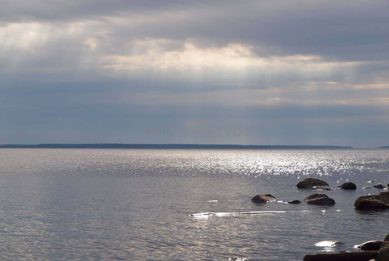 Coast of lake in the morning     