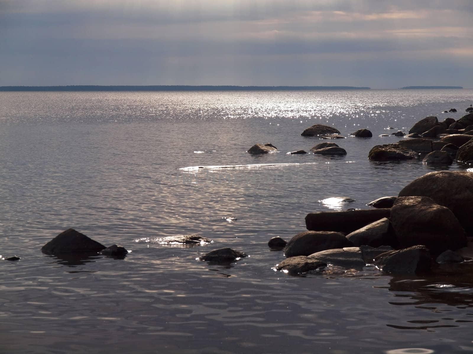 Coast of lake in the morning     