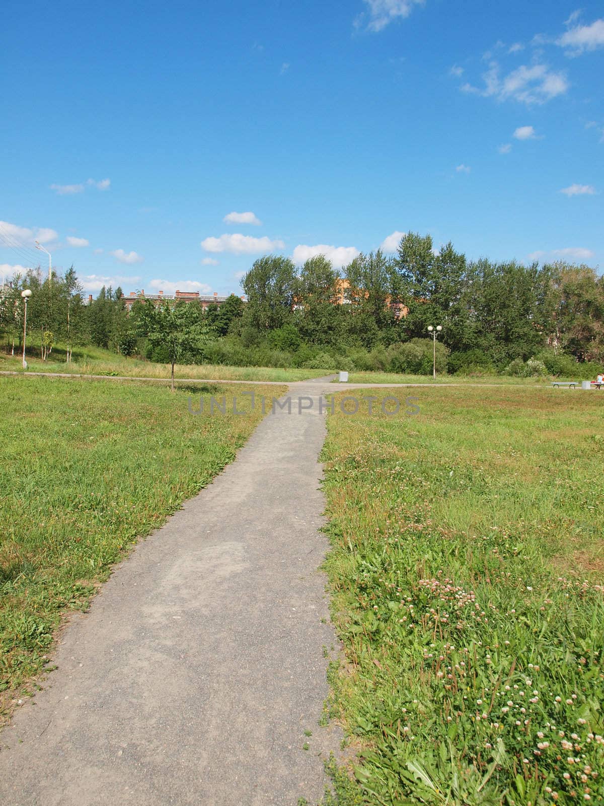 Park in the summer