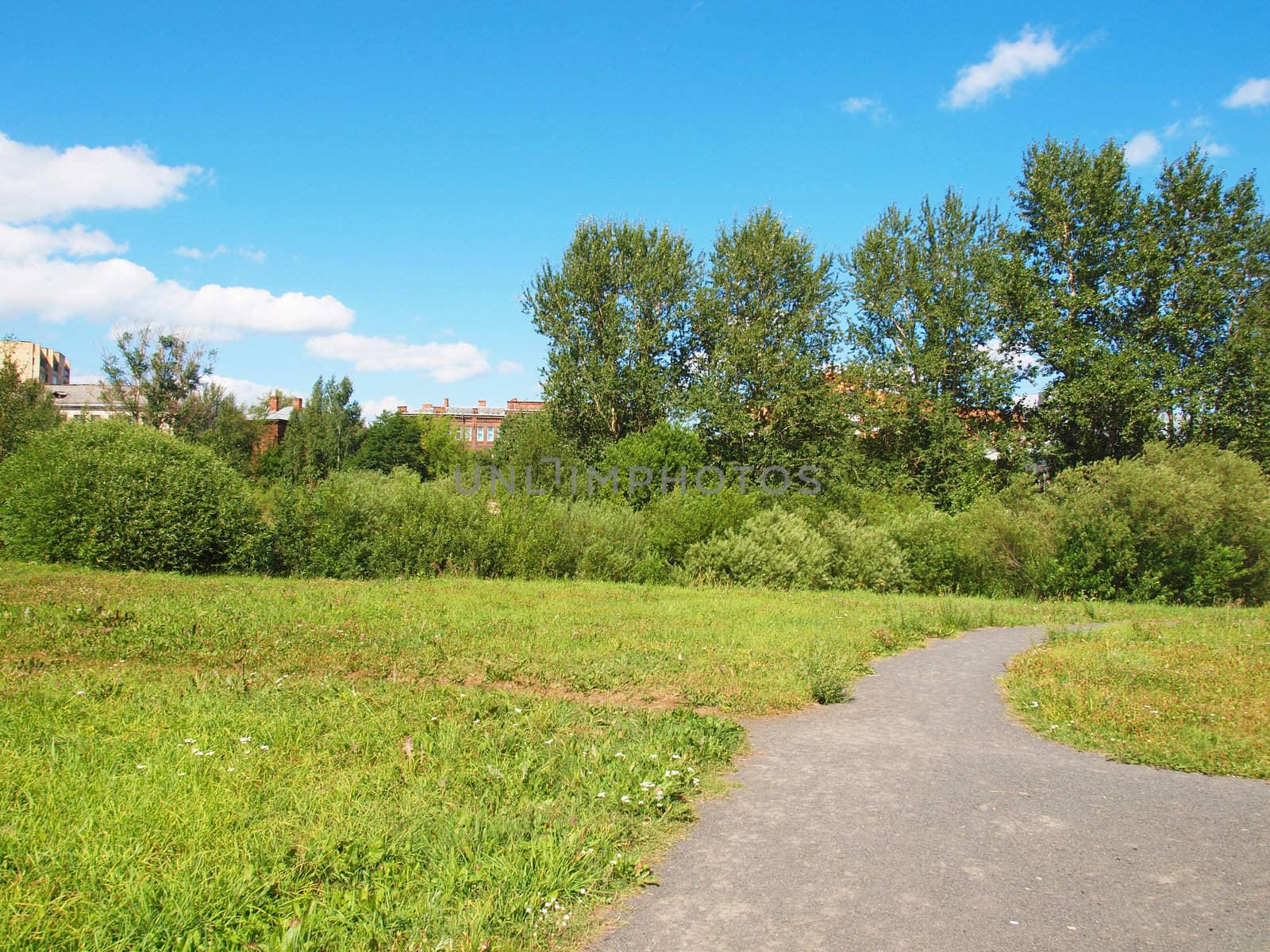 Park in the summer