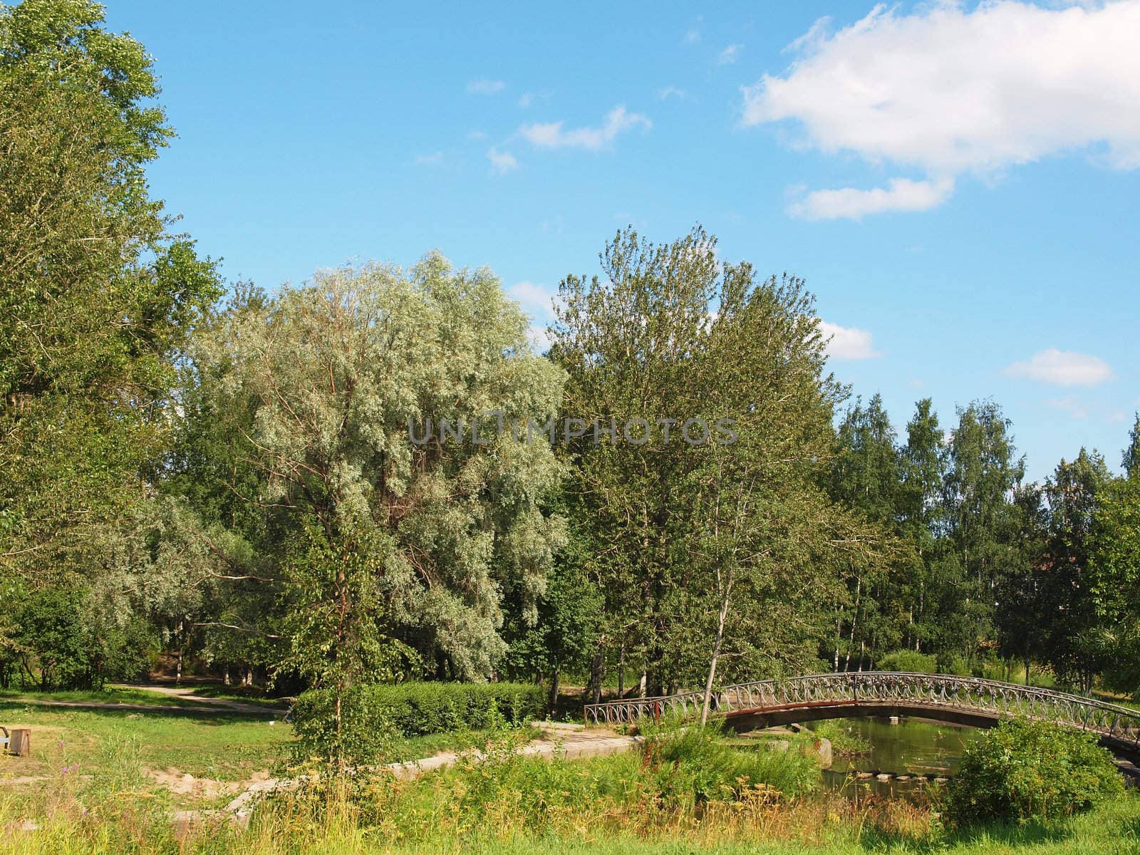 Park in the summer
