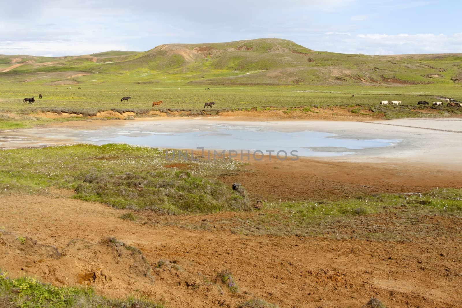 Beauty icelandic view - kleifarvatn area. Green farm