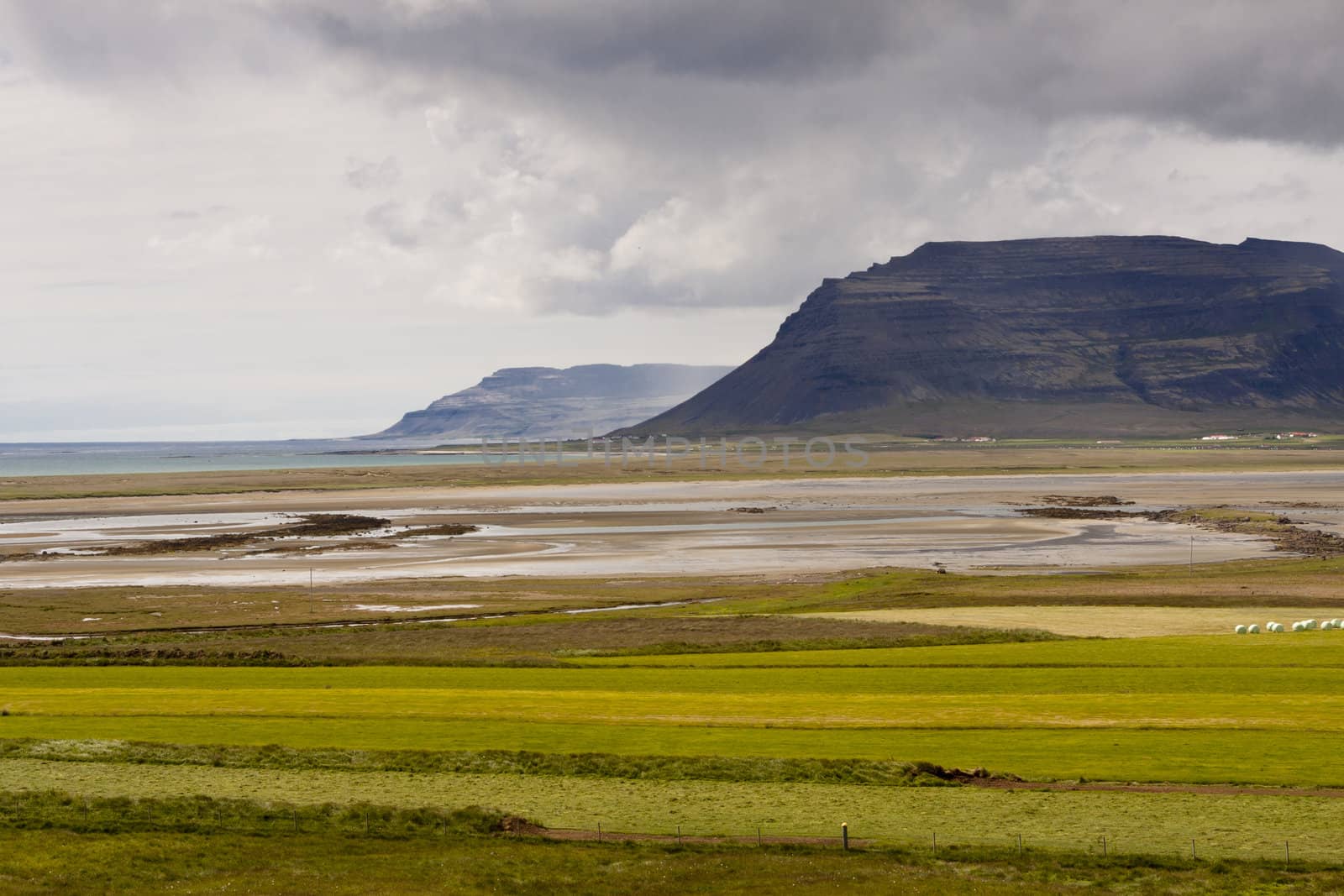 Green farm, vestfjords in background big stony cliffs - Iceland