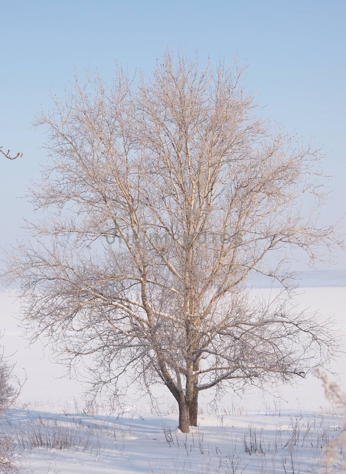 Winter landscape  by Enskanto