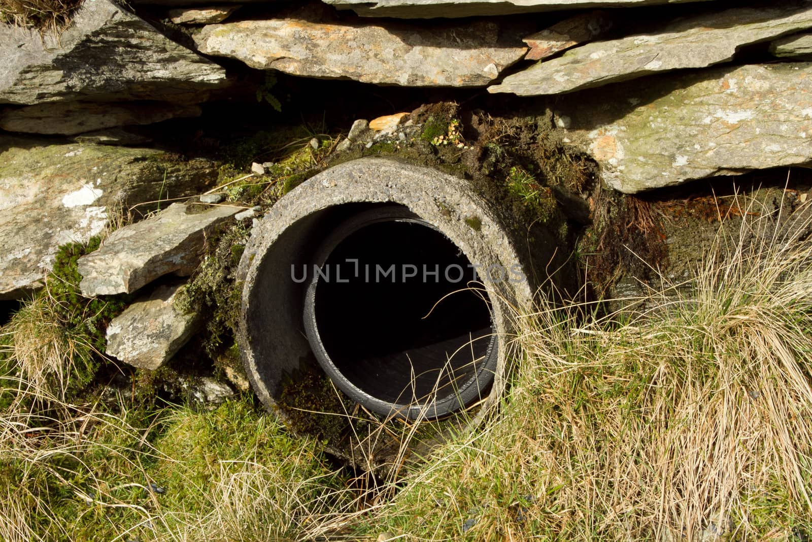 A concrete culvert pipe with plastic inner built into a stone wall with grass and moss.