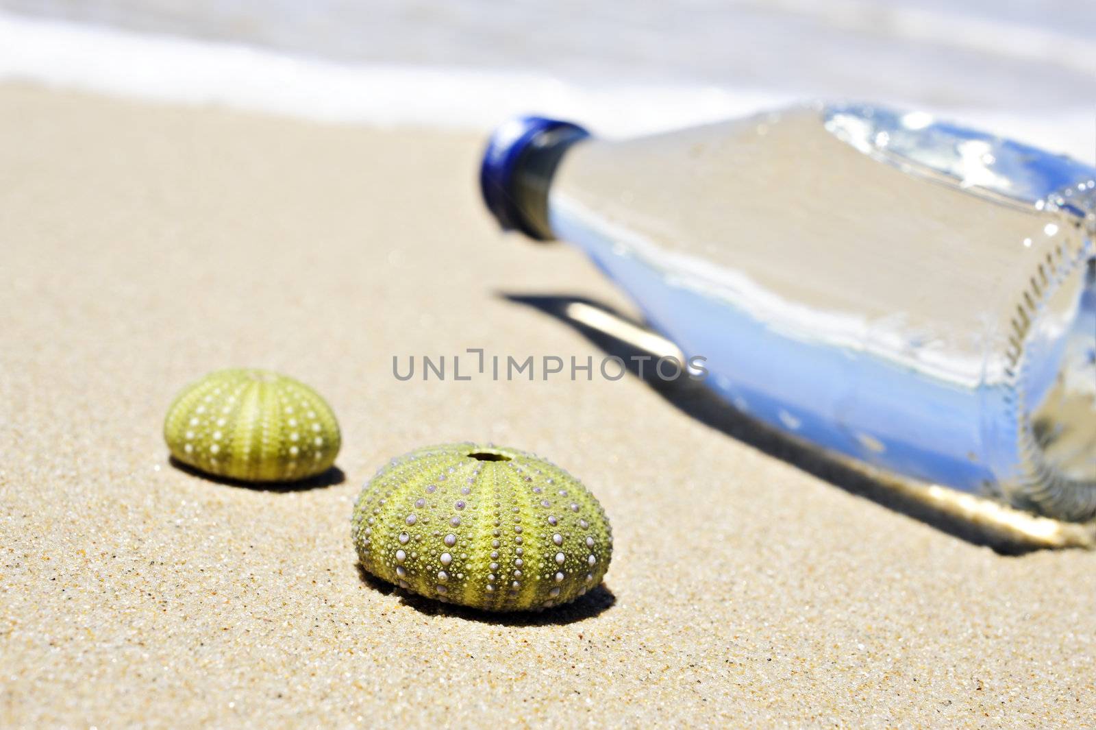 Beach scene with two dead sea urchin shells and a bottle of water by tish1