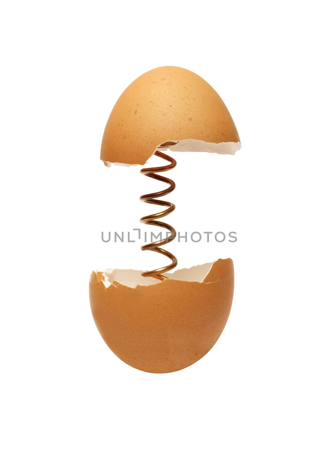 Metal spring inside broken egg. Isolated on white with clipping path