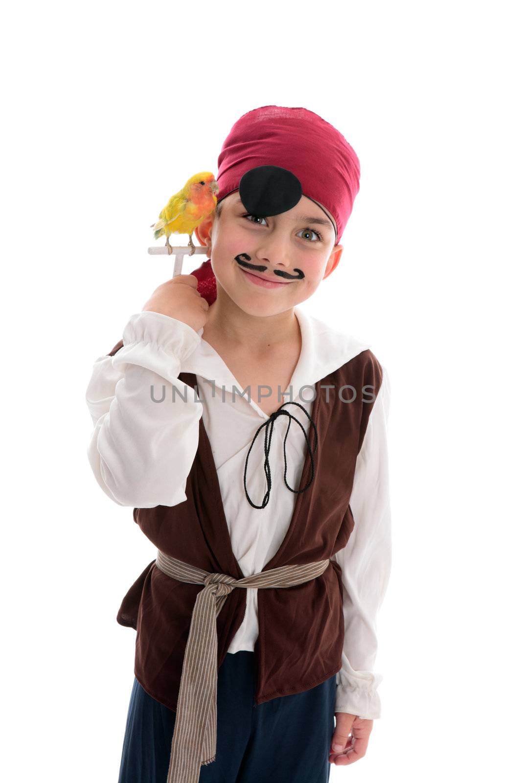 A young boy in pirate costume and holding a pet lovebird